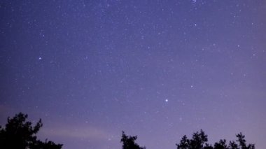 San Gabriel Dağları Ulusal Anıtı Kaliforniya Yıldızlı Gökyüzü ve Hızlı Hareket Eden Bulutlar Ormanın Üzerindeki Zaman Hızı Hızla Hızlanıyor