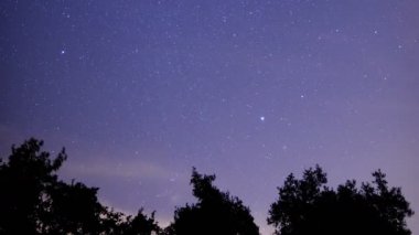 San Gabriel Dağları Ulusal Anıtı Kaliforniya Yıldızlı Gökyüzü ve Hızlı Hareket Eden Bulutlar Ormanın Üzerindeki Zaman Hızı Hızlandırması