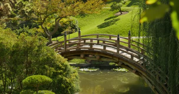 Puente Jardín Japonés Otro Lado Del Estanque — Vídeos de Stock