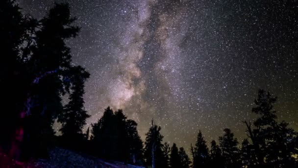 天の川銀河とペルセウス座流星群古代ブリスコンパインの森の時間 Lapse California — ストック動画