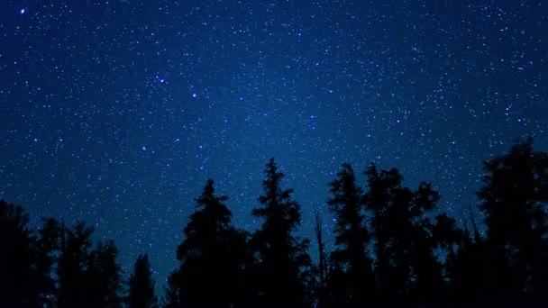 Borstlecone Pine Ancient Forest Milchstraße Galaxie Zeitraffer Astrophotography Tilt Kalifornien — Stockvideo