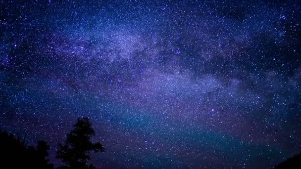 Borstlecone Pine Ancient Forest Milchstraße Galaxie Zeitraffer Astrophotography Kalifornien — Stockvideo