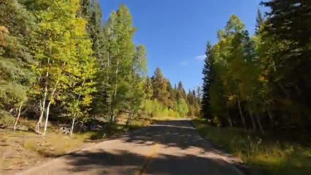 Fahrt Durch Laub Grand Canyon North Rim Aspen Forest Arizona — Stockvideo