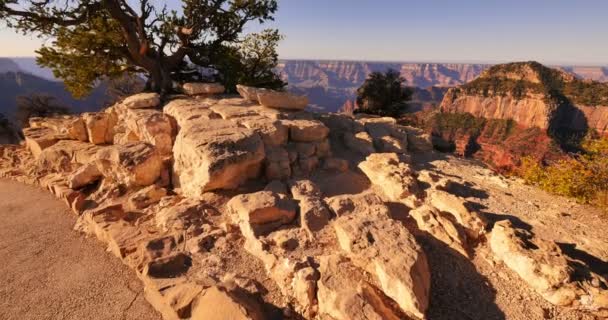 Национальный Парк Гранд Каньон Северный Рим Тап Кейп Роял Аризона — стоковое видео