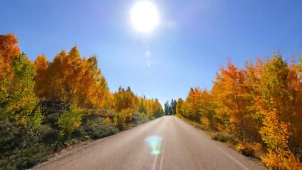 Przejazd Przez Wielki Kanion Foliage North Rim Aspen Forest Arizonie — Wideo stockowe