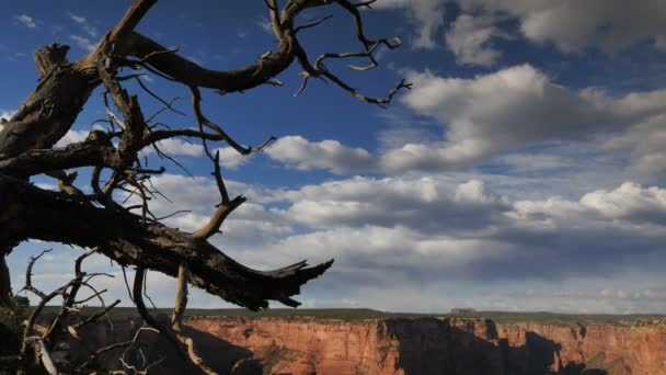 Canyon Chelly Monumento Nacional Dolly Pan Spider Rock Time Lapse — Vídeo de Stock