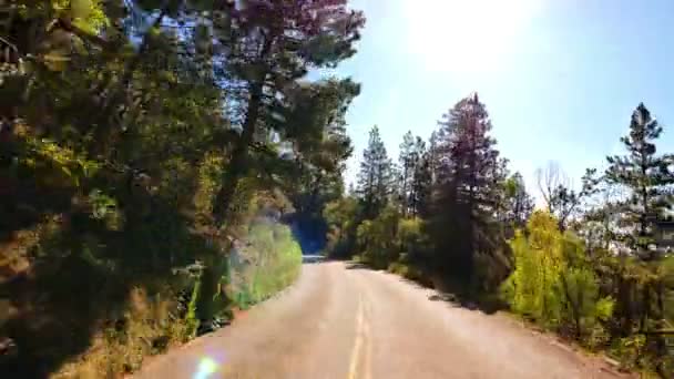 Rijden Door Foliage Grand Canyon North Rim Aspen Forest Arizona — Stockvideo
