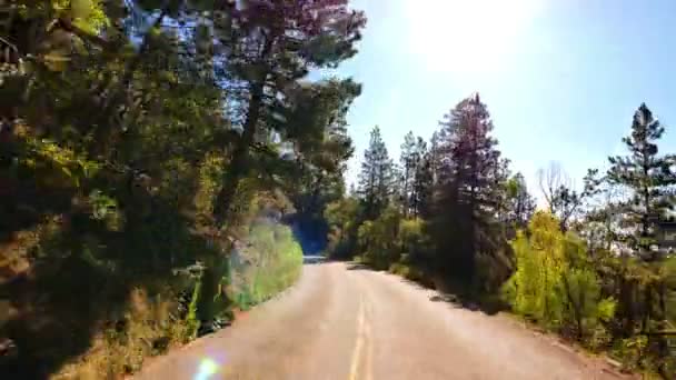 Conduciendo Través Foliage Grand Canyon North Rim Aspen Forest Arizona — Vídeo de stock