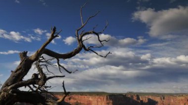 Canyon De Chelly Ulusal Anıtı Dolly ve Pan Spider Rock Lapse Arizona Güneybatı ABD