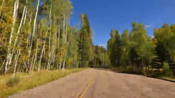 Dirigir Através Folhagem Aspen Time Lapse Grand Canyon North Rim — Vídeo de Stock