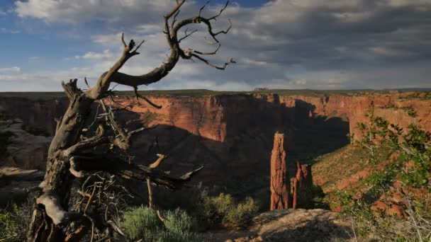 Canyon Chelly National Monument Spider Rock Time Lapse Arizona South — 图库视频影像