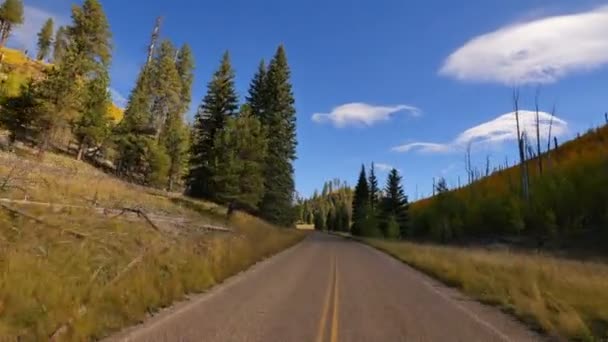アリゾナ州の葉のグランドキャニオン ノース リムアスペンの森をドライブ米国 — ストック動画