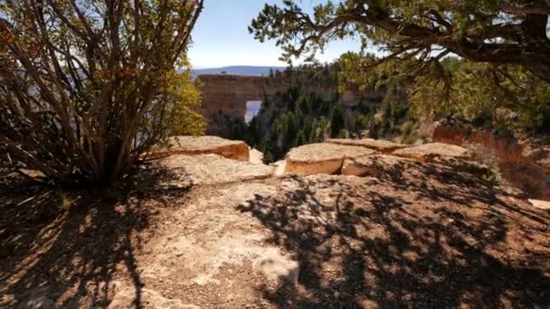 Grand Canyon National Park North Rim Tilt Angels Window Arch — Stock video