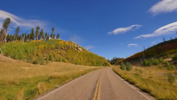 Conduciendo Través Foliage Grand Canyon North Rim Aspen Forest Arizona — Vídeo de stock