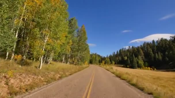 Körning Genom Foliage Grand Canyon North Rim Aspen Forest Arizona — Stockvideo