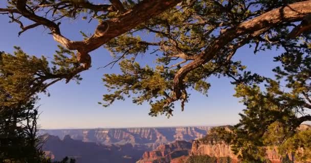 大峡谷国家公园美国亚利桑那州皇家角北缘倾斜 — 图库视频影像