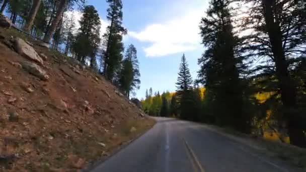Conduciendo Través Foliage Grand Canyon North Rim Aspen Forest Arizona — Vídeo de stock