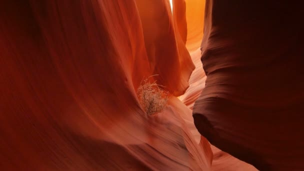 Antelope Canyon Slot Canyon Arizona Kippt Südwesten Der Usa — Stockvideo