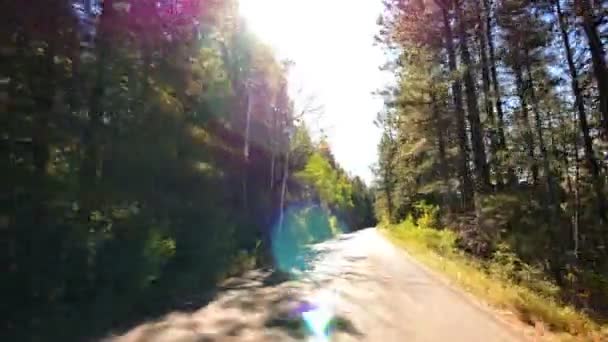 Dirigir Através Folhagem Grand Canyon North Rim Aspen Floresta Arizona — Vídeo de Stock