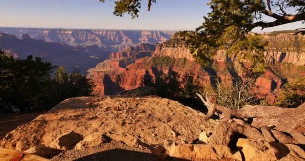 Grand Canyon National Park North Rim Tilt Cape Royal Arizona — Stock videók