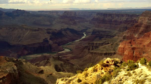 Grand Canyon Ulusal Parkı Güney Rim Doğu Rim Colorado Nehri — Stok video