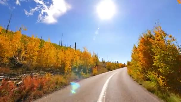 Jízda Kaňonem Foliage Grand Canyon North Rim Aspen Forest Arizoně — Stock video