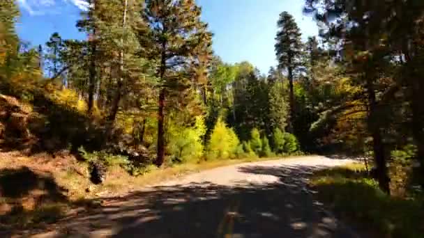 アリゾナ州の葉のグランドキャニオン ノース リムアスペンの森をドライブ米国 — ストック動画