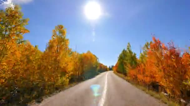 アスペンの紅葉の時間をドライブする グランドキャニオンノースリム アリゾナ州 — ストック動画