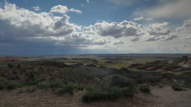 Taşlaşmış Orman Ulusal Parkı Çöl Zamanı Hızlandırılmış Fırtına Arizona ABD