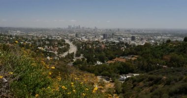 Hollywood Bowl Overlook Dolly Los Angeles California 'yı vurdu.