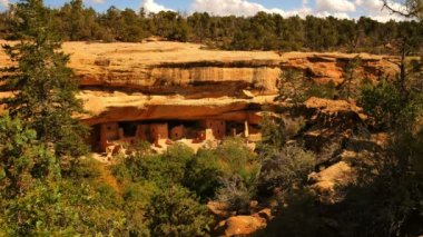 Mesa Verde Ulusal Parkı Spruce Tree Palace Colorado 'daki Amerikan Yerlileri Harabeleri