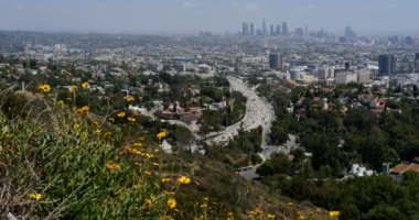 Hollywood Bowl Overlook Dolly Los Angeles California 'yı vurdu.
