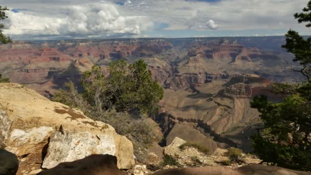 Grand Canyon National Park South Rim Dolly Shot Yavapai Point — Stockvideo