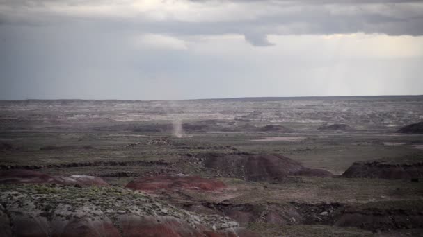 Parque Nacional Florestal Petrificado Deserto Pintado Twister Dust Devil Arizona — Vídeo de Stock