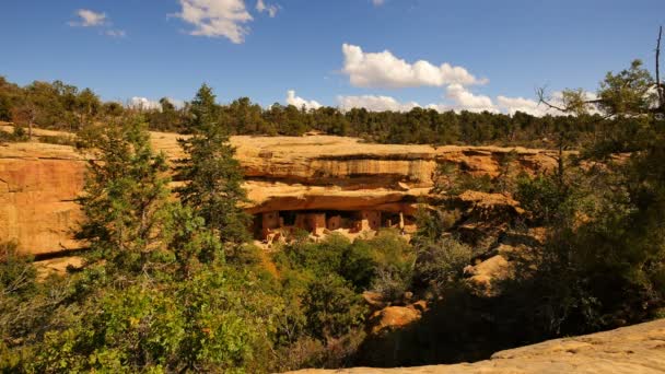 Mesa Verde Ulusal Parkı Zaman Aşımına Uğramış Ladin Ağacı Sarayı — Stok video