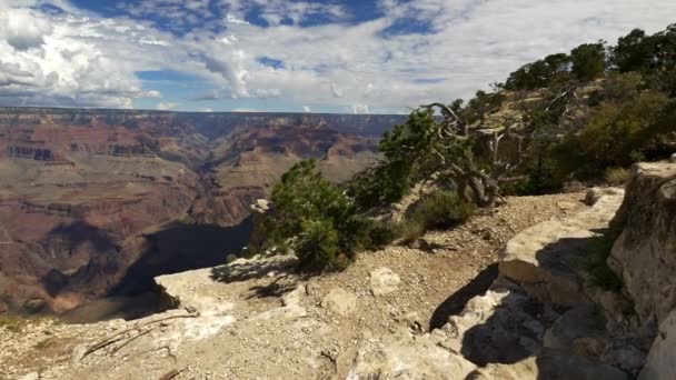 Grand Canyon National Park South Rim Dolly Skott Vid Yavapai — Stockvideo