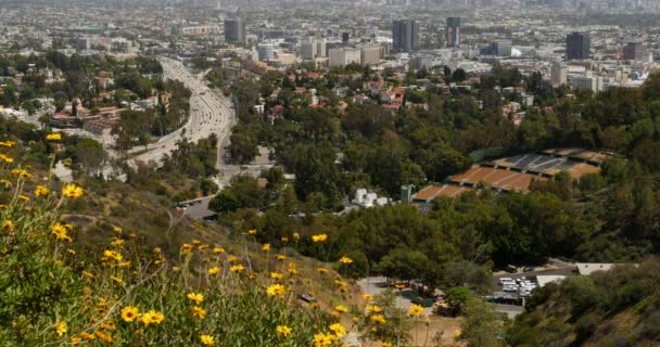 Hollywood Bowl Overlook Dolly Shot Los Angeles Kalifornien Usa — Stockvideo