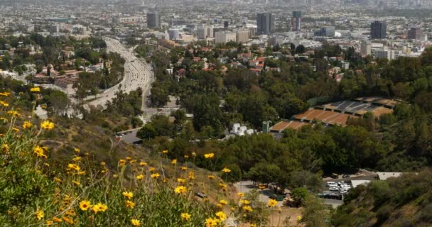 Hollywood Bowl Overlook Dolly Shot Los Angeles California Usa — Stock video