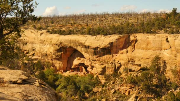 Parque Nacional Mesa Verde Casa Roble Ruinas Nativas Americanas Colorado — Vídeo de stock