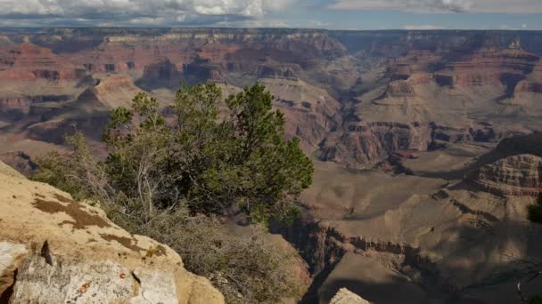 Parque Nacional Del Gran Cañón South Rim Dolly Shot Yavapai — Vídeos de Stock