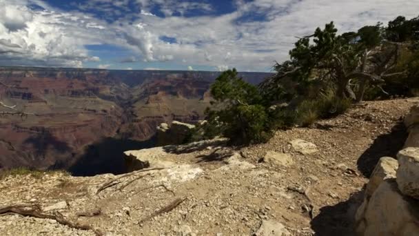 Park Narodowy Grand Canyon South Rim Dolly Strzał Yavapai Point — Wideo stockowe
