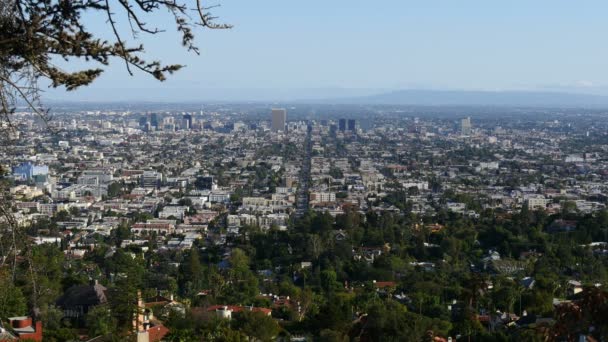 Los Angeles City Grids Daytime — Vídeo de stock