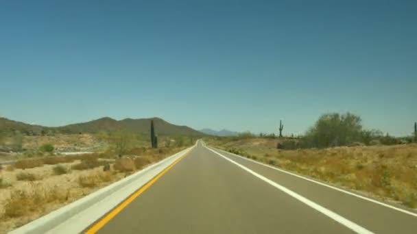 亚利桑那沙漠驾驶时间索诺兰沙漠中的Lapse Saguaro Cactus — 图库视频影像