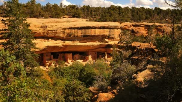 Mesa Verde National Park Spruce Tree Palace Native American Ruins — Stock video