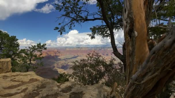 Grand Canyon National Park South Rim Dolly Shot Yavapai Point — Vídeo de Stock