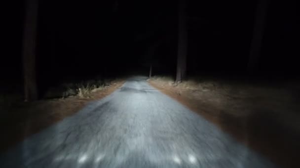 Sürücü Tabakları Ormanı Gece Önü Görünümü — Stok video