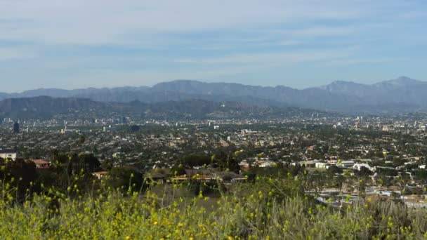 Hollywood Bowl Vista Para Los Angeles Califórnia Eua — Vídeo de Stock