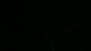 Koyu arkaplanda renkli dumanların yakın plan görüntüleri