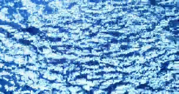 Gouttes Eau Ondulations Sur Surface Eau — Video