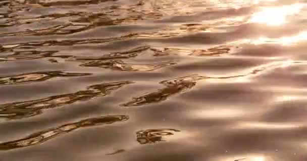 Záběry Odrazů Slunečního Svitu Vodní Hladině — Stock video
